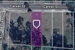 125 Carver St, Palatka, FL 32177 - Photo 1