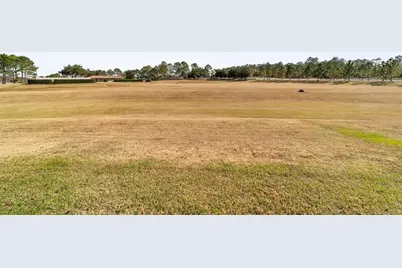 9150 SW 102nd Circle, Ocala, FL 34481 - Photo 54