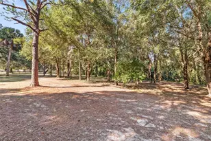 15670 S Hwy 25, Weirsdale, FL 32195 - Photo 74