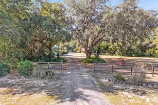 15670 S Hwy 25, Weirsdale, FL 32195 - Photo 4