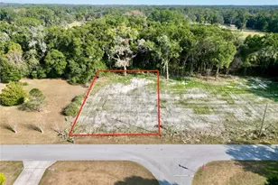 Tbd NW 47th Ave, Ocala, FL 34482 - Photo 1