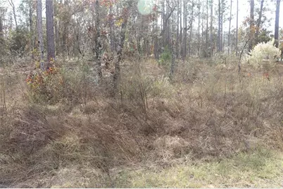 00 Geranium Avenue, Dunnellon, FL 34431 - Photo 2