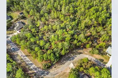 3873 W Findlay Street, Citrus Springs, FL 34433 - Photo 6