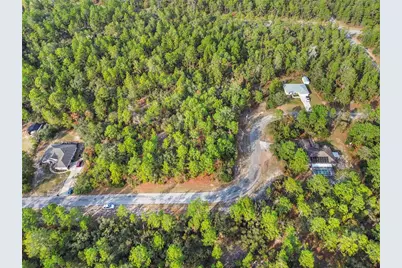 3873 W Findlay Street, Citrus Springs, FL 34433 - Photo 14