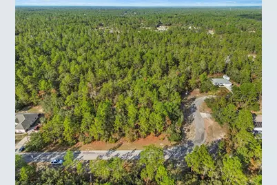 3873 W Findlay Street, Citrus Springs, FL 34433 - Photo 8