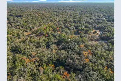 11650 NE 88th Lane, Bronson, FL 32621 - Photo 80