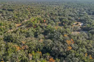 11650 NE 88th Ln, Bronson, FL 32621 - Photo 80