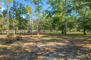 11650 NE 88th Ln, Bronson, FL 32621 - Photo 70