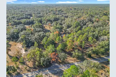 11650 NE 88th Lane, Bronson, FL 32621 - Photo 8