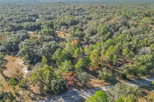 11650 NE 88th Ln, Bronson, FL 32621 - Photo 8