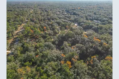 11650 NE 88th Lane, Bronson, FL 32621 - Photo 82