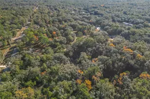 11650 NE 88th Ln, Bronson, FL 32621 - Photo 82