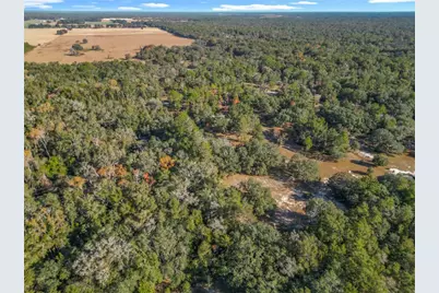 11650 NE 88th Lane, Bronson, FL 32621 - Photo 78