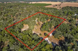 11650 NE 88th Ln, Bronson, FL 32621 - Photo 84