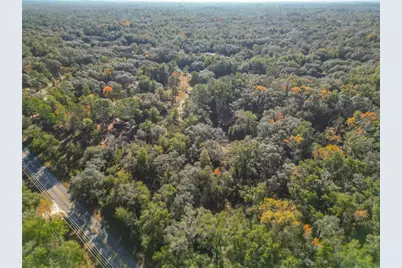 11650 NE 88th Lane, Bronson, FL 32621 - Photo 12