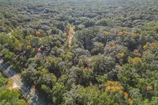 11650 NE 88th Ln, Bronson, FL 32621 - Photo 12