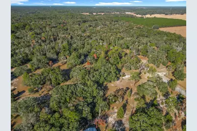 11650 NE 88th Lane, Bronson, FL 32621 - Photo 74