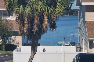 11001 SE Sunset Harbor Rd, Summerfield, FL 34491 - Photo 4