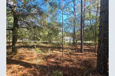 11370 N Ortega Point, Dunnellon, FL 34433 - Photo 8