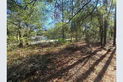 11370 N Ortega Point, Dunnellon, FL 34433 - Photo 6