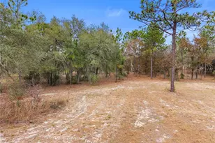 12251 SE 66th Pl, Morriston, FL 32668 - Photo 20