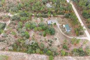 12251 SE 66th Pl, Morriston, FL 32668 - Photo 52