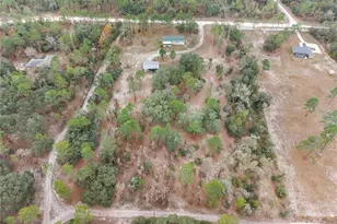 12251 SE 66th Pl, Morriston, FL 32668 - Photo 54