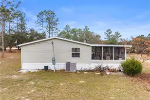 12251 SE 66th Pl, Morriston, FL 32668 - Photo 4