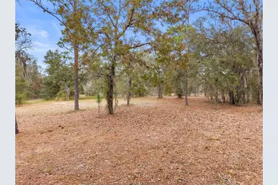 12251 SE 66th Place, Morriston, FL 32668 - Photo 18