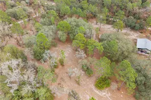 12251 SE 66th Pl, Morriston, FL 32668 - Photo 24