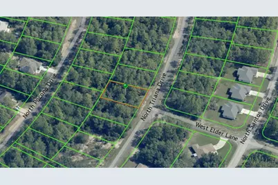 8100 N Triana Drive, Citrus Springs, FL 34434 - Photo 4