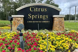 2180 W Kenmore Dr, Citrus Springs, FL 34434 - Photo 30