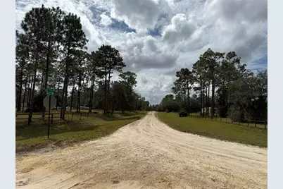 7341 SE 117th, Morriston, FL 32668 - Photo 6