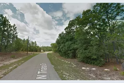 8116 N Triana Drive, Citrus Springs, FL 34434 - Photo 8