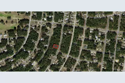 8116 N Triana Drive, Citrus Springs, FL 34434 - Photo 4