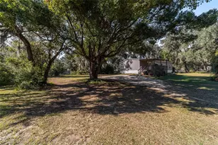 4119 NE 172nd Ct, Silver Springs, FL 34488 - Photo 4