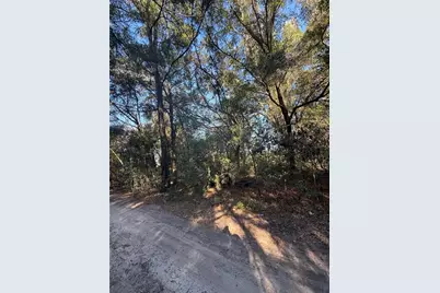 Sw 148th Ct 32nd Place, Ocala, FL 34481 - Photo 1