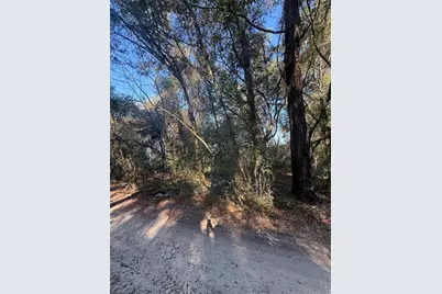 Sw 148th Ct 32nd Place, Ocala, FL 34481 - Photo 2