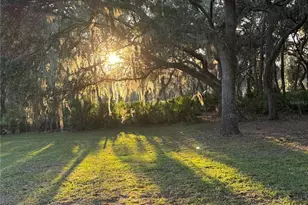 11064 NE 212th Ln, Fort Mc Coy, FL 32134 - Photo 54