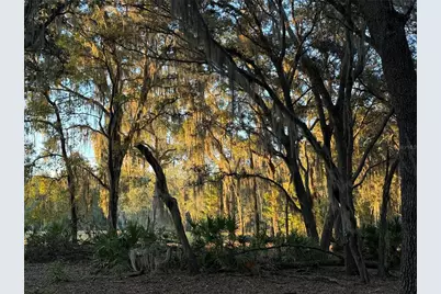 11064 NE 212th Lane, Fort Mc Coy, FL 32134 - Photo 52