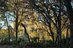 11064 NE 212th Ln, Fort Mc Coy, FL 32134 - Photo 52