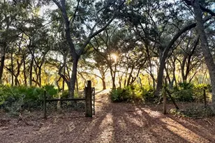 11064 NE 212th Ln, Fort Mc Coy, FL 32134 - Photo 48