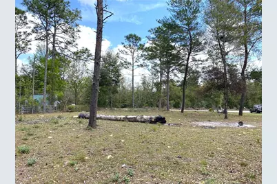 00 NE 142nd Court, Williston, FL 32696 - Photo 2