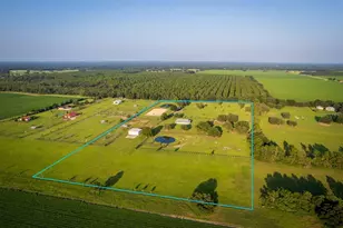 3650 SE 165 Ave, Morriston, FL 32668 - Photo 16
