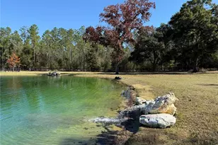 3650 SE 165 Ave, Morriston, FL 32668 - Photo 52