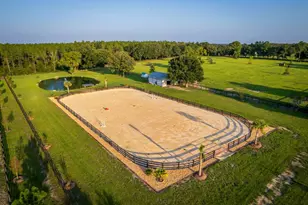 3650 SE 165 Ave, Morriston, FL 32668 - Photo 6