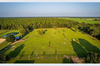 3650 SE 165th Avenue, Morriston, FL 32668 - Photo 18