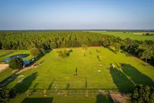 3650 SE 165 Ave, Morriston, FL 32668 - Photo 18