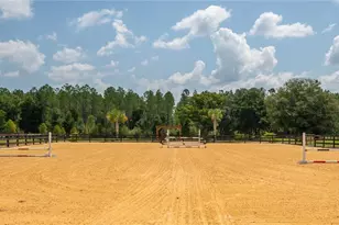 3650 SE 165 Ave, Morriston, FL 32668 - Photo 50