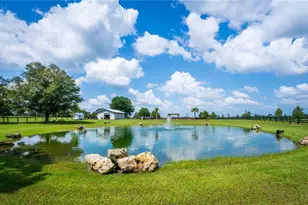 3650 SE 165 Ave, Morriston, FL 32668 - Photo 4